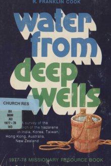 Cover of the book Water From Deep Wells